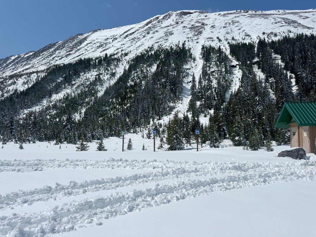 Tom Graham tweet media