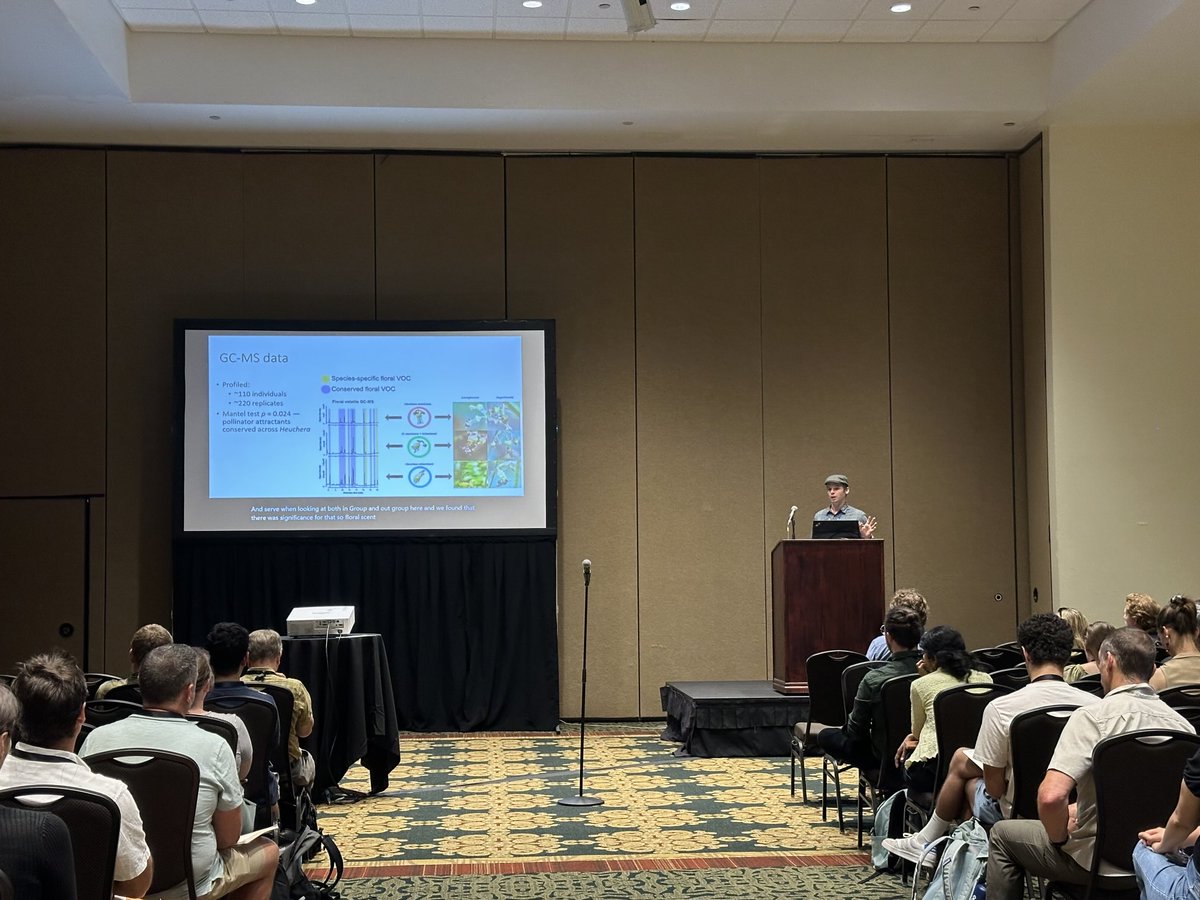 Nick presenting his work on Heuchera hybridization in #Evolution2025
