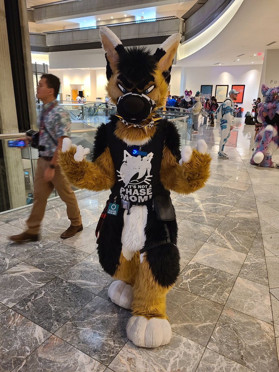 It's not a phase, it's who <a href="/SkunkerPuppy/">🔥That Emo Skunky Shep🔥</a> really is

#FWA2025