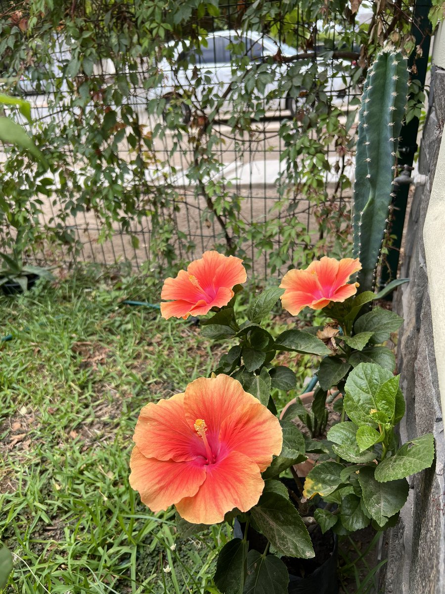 Cada quién sus guerras