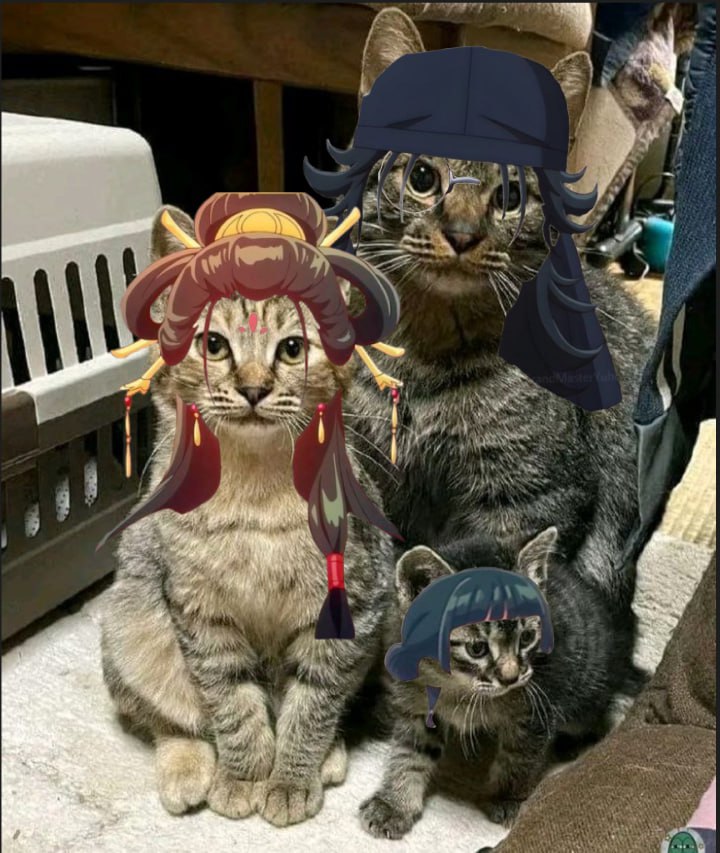 I have a new small La's fic, so this time you get La kitties family
archiveofourown.org/works/66796603