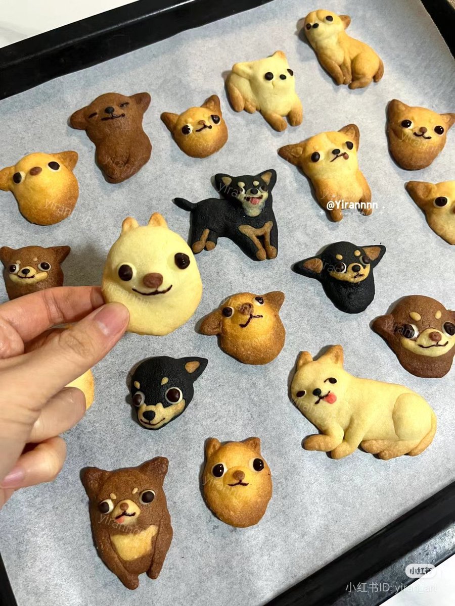 silly dog cookies