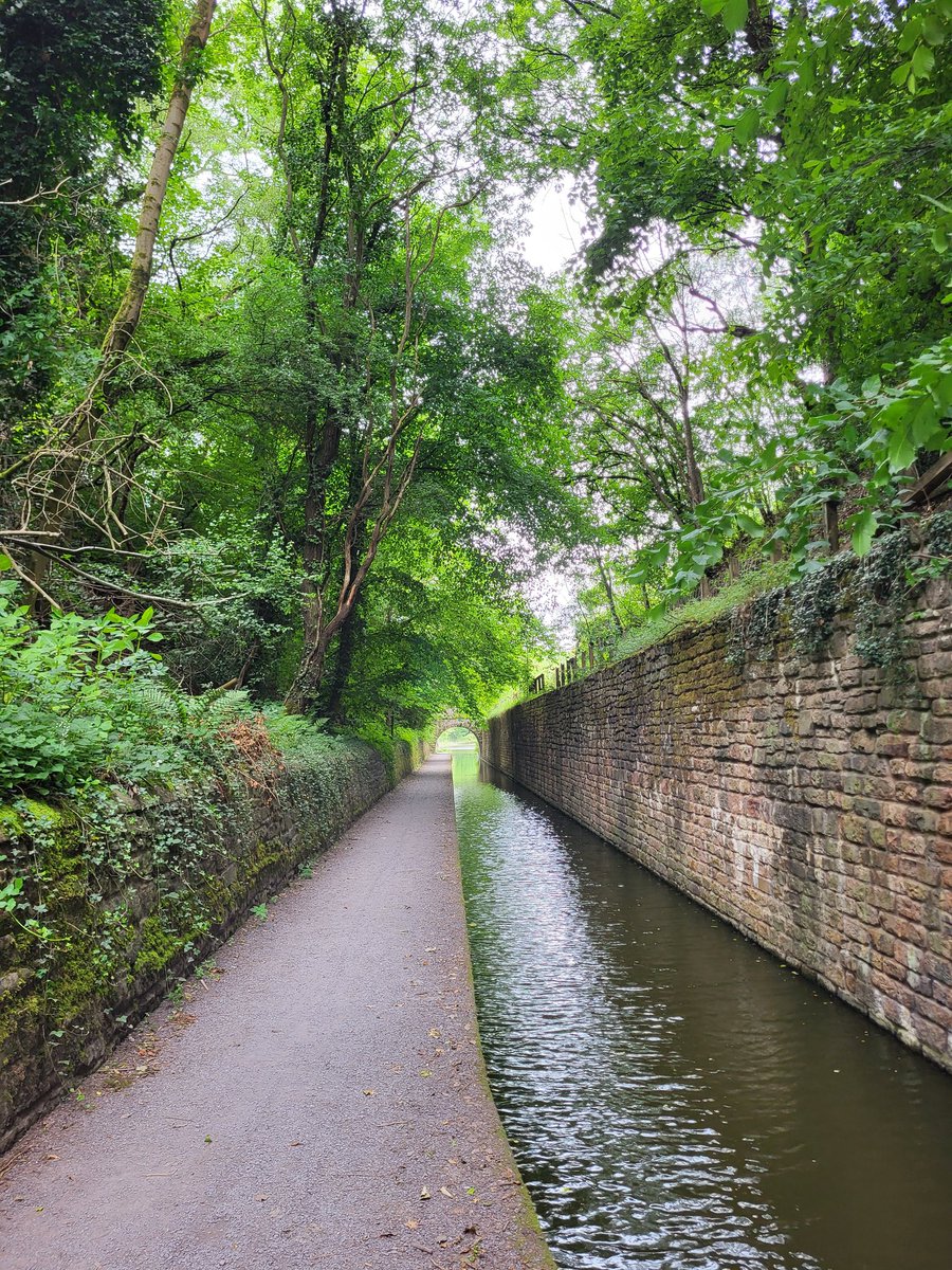 M1key_P's tweet photo. Sunday walks #LifeIsBetterByWater #PeakForestCanal @CanalRiverTrust https://t.co/tiG18qKAKu
