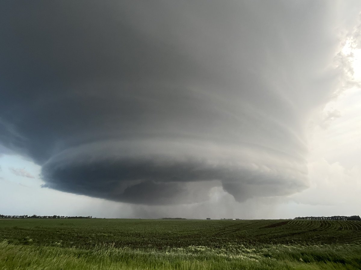 Dustin Freeman tweet media