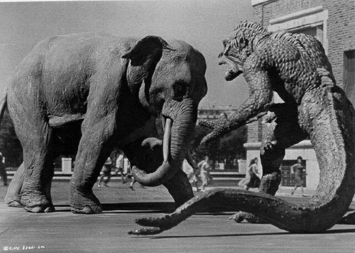 Dakota Redditt๐งโโ๏ธ๐งโโ๏ธ๐งโโ๏ธ๐ (@dakotaredditt) on Twitter photo HAPPY #SciFiSunday
#20MillionMilesToEarth #RayHarryhausen
<a href="/WolverSteve/">WolverSteve ๐๐</a> <a href="/TheWolverine130/">Wolverine</a> <a href="/Wolverine2sweet/">Keith</a> <a href="/LisaJ_cosplay/">Lisa J Cosplay</a> <a href="/EmpressCarri/">Carrie</a> <a href="/KrishaTan594/">Krisha Tan</a> <a href="/giselleb1234/">๐ถ๐๐๐๐๐๐//๐ฅโณ ๐๐ซ</a> <a href="/Gisy_Angel/">๐ฅGisy๐ฅ</a> <a href="/Skyhawk1/">Skyhawk ๐ฅค๐ป๐๐</a> <a href="/BlueSpider450/">The Blue Spider</a> <a href="/Matt_DBZ7/">Matt</a> <a href="/The1stBAT/">The1stBAT</a> <a href="/TaphneM/">Croft, Taphne Bond Jones Croft</a> <a href="/jedisaga/">E (It's All Geek To Me...๐๐ค๐ฒ๐ฎ)</a> <a href="/bronxfanatic/">Jorge</a> <a href="/jsoto1972/">๐ฌ๐๐๐ป๐๐ฎ๐๐๐ฅ๐๐ฆ๐ทโ John Soto (RavenJDK)๐</a> HAPPY #SciFiSunday
#20MillionMilesToEarth #RayHarryhausen
<a href="/WolverSteve/">WolverSteve ๐๐</a> <a href="/TheWolverine130/">Wolverine</a> <a href="/Wolverine2sweet/">Keith</a> <a href="/LisaJ_cosplay/">Lisa J Cosplay</a> <a href="/EmpressCarri/">Carrie</a> <a href="/KrishaTan594/">Krisha Tan</a> <a href="/giselleb1234/">๐ถ๐๐๐๐๐๐//๐ฅโณ ๐๐ซ</a> <a href="/Gisy_Angel/">๐ฅGisy๐ฅ</a> <a href="/Skyhawk1/">Skyhawk ๐ฅค๐ป๐๐</a> <a href="/BlueSpider450/">The Blue Spider</a> <a href="/Matt_DBZ7/">Matt</a> <a href="/The1stBAT/">The1stBAT</a> <a href="/TaphneM/">Croft, Taphne Bond Jones Croft</a> <a href="/jedisaga/">E (It's All Geek To Me...๐๐ค๐ฒ๐ฎ)</a> <a href="/bronxfanatic/">Jorge</a> <a href="/jsoto1972/">๐ฌ๐๐๐ป๐๐ฎ๐๐๐ฅ๐๐ฆ๐ทโ John Soto (RavenJDK)๐</a>