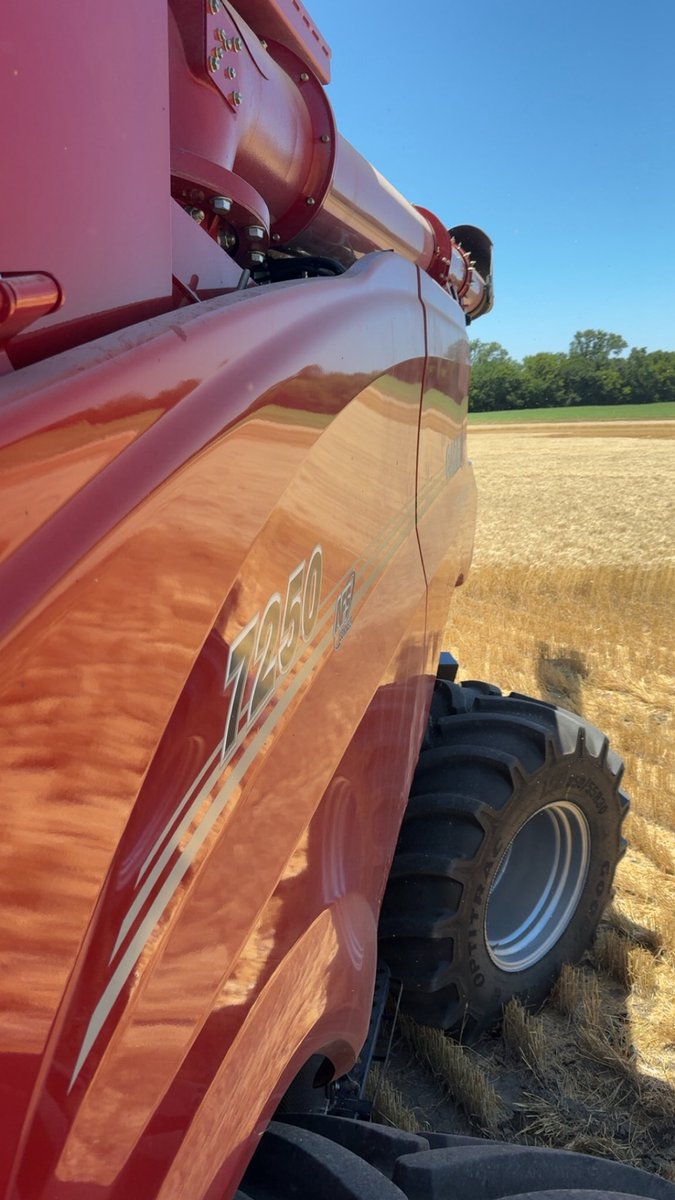 Wheat Harvest is Here …. 

#Harvest25