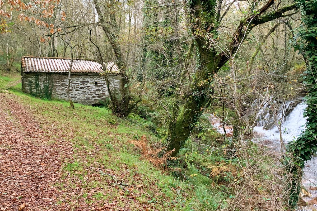 TouroTurismo's tweet photo. O muíño de Santaia, situado no lugar do mesmo nome, conserva practicamente todos os elementos propios dun muíño deste tipo. As paredes son de pedra e cemento e o tellado de tella a dúas augas. No seu interior poden verse o pé e a capa, entre outros elementos tradicionais https://t.co/iFr9BSxi3G