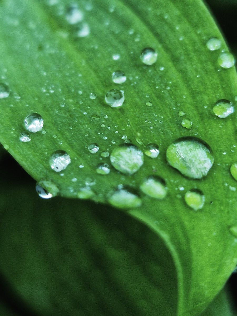Posypkins's tweet image. Это просто дождь дождь ☔️