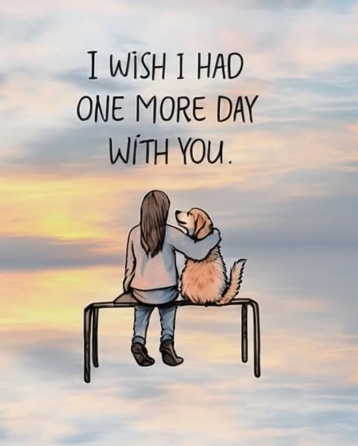 𝕏 Dogs (@_xdogs) on Twitter photo 