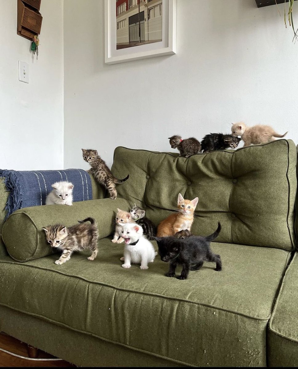 interiorstellar (@interiorstellar) on Twitter photo 