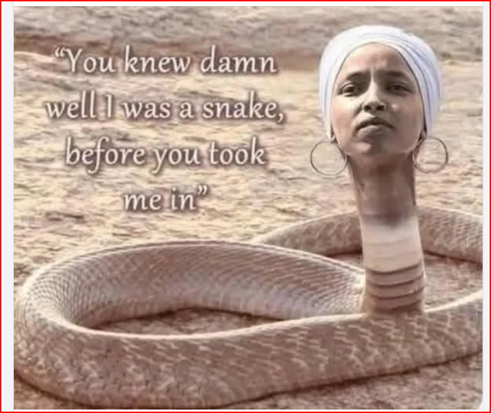 Michael Stevenson tweet media