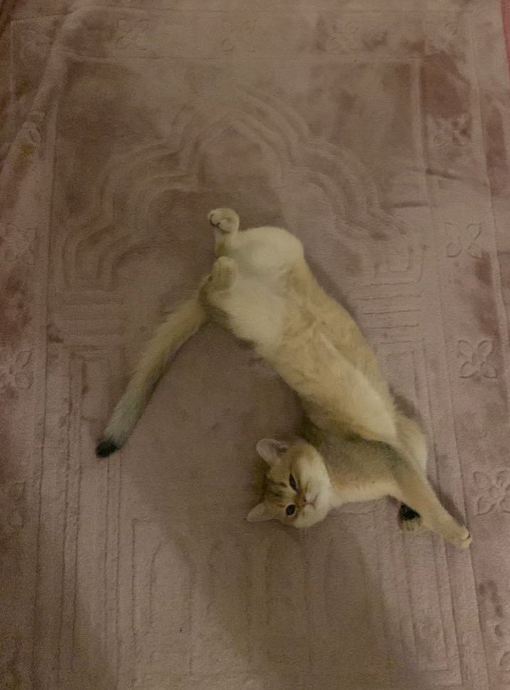 هناك أفئدة تمدنّا بالدفئ في ذروة الوهن.