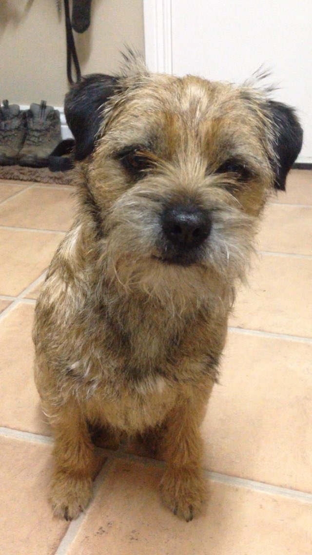 As devastating today as it was 22 weeks ago when we lost our little man 😢💔 #eric #btposse
