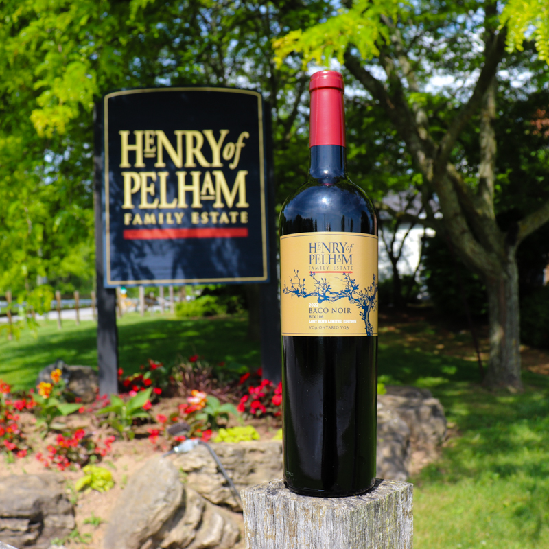 The countdown is on! Our 2023 Bin 106 Baco Noir launches at our Baco &amp; Berries event, June 28–July 1. Join us for a weekend of live music, delicious food, and all the Baco your heart desires, no tickets needed! Learn more: bit.ly/3ZY1MXa

#BacoNoir #CanadaDayWeekend