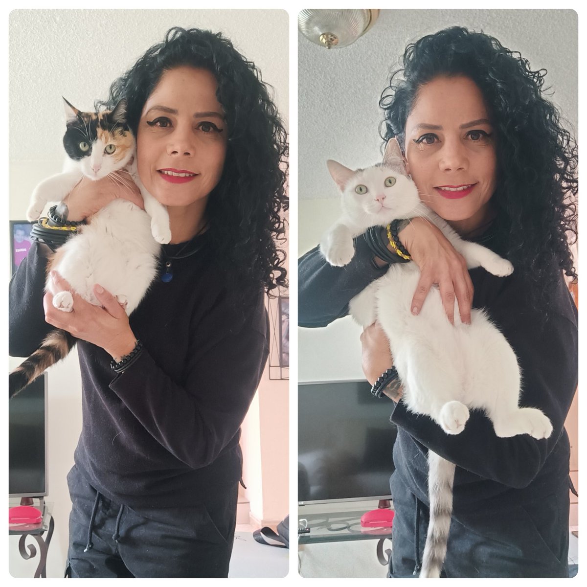 Domingo lluvioso con #mononinas 😸 salud❗ #cats #gatos #ruthmilca