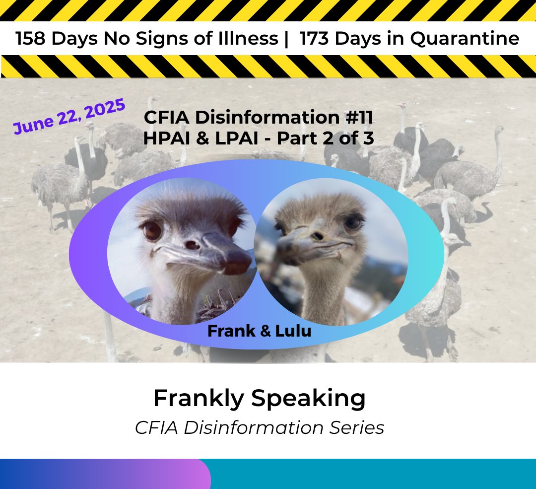 Frankly Speaking, June 22, 2025
What is CFIA's "lab testing" process?

Read response to CFIA Disinformation #11 on
HPAI and LPAI (Part 2 of 3):
Allowing a domestic poultry flock known to be exposed to HPAI to remain alive means a potential source of the virus persists.