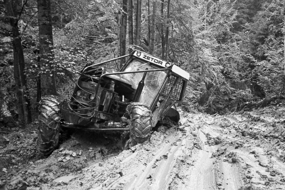 „O reformie lasów mówimy poważnie” - to archiwalny tekst <a href="/SSzczutkowska/">Sylwia Szczutkowska</a>, który przypomnieliśmy w jubileuszowym wydaniu miesięcznika. 
✳️ Postulaty w nim zawarte wciąż są aktualne.
Strona społeczna wciąż czeka na realne zmiany gospodarce leśnej:
dzikiezycie.pl/archiwum/2024/…
