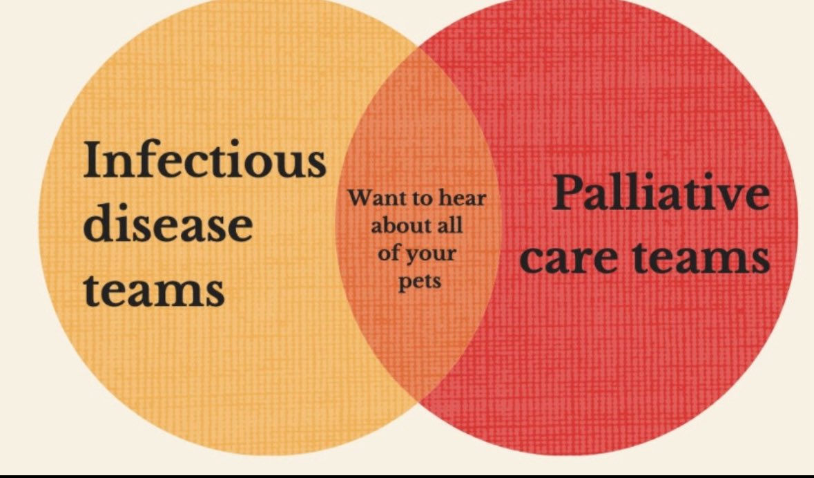 MaCamilabt's tweet image. #nephrology too