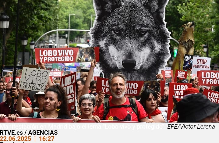Nunca antes vi en Madrid a tanta gente manifestarse para pedir la protección de su biodiversidad.