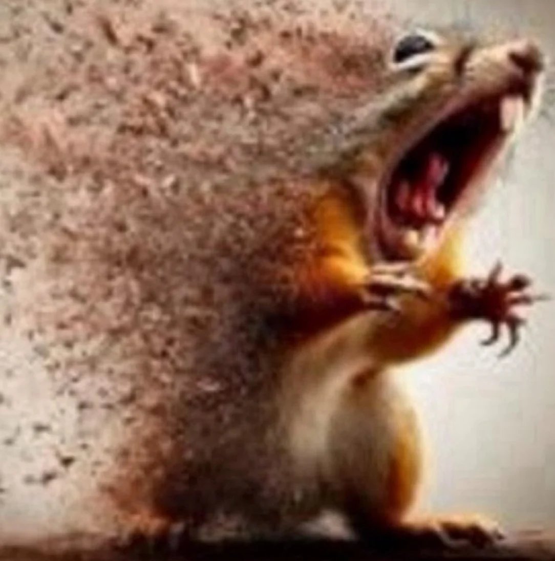 people be saying UK heat is bad but ARIZONA BE HITTING 113 DEGREES ON A NORMAL DAY IN SUMMER, I AM LITERALLY GETTING FRIED!!!