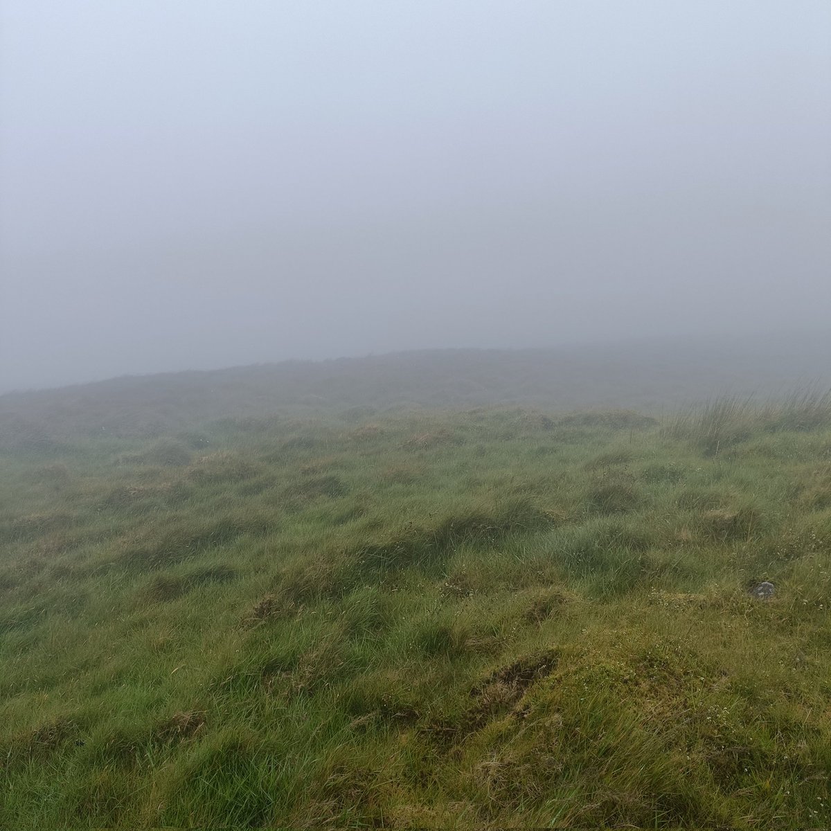 Andrew_Breslin's tweet image. #TomCrean Challenge completed yesterday. 30kms over mountains, steep ridges and boggy terrain. Adding to the fun visibility was at 10mtrs. #GetOut #GetActive #BíUllamh #BePrepared #Annascaul #Kerry