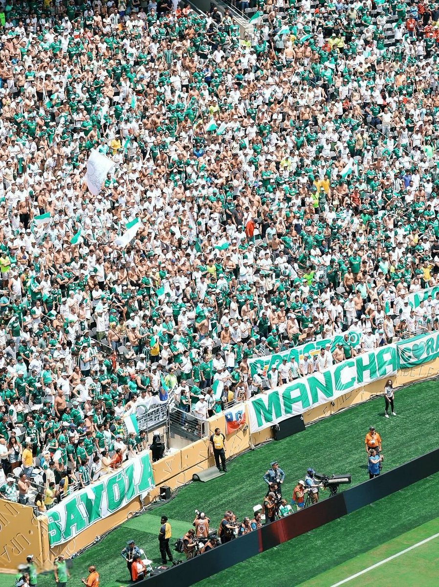 nayraant's tweet photo. As fotos da arquibancada do Palmeiras nos EUA se superam. https://t.co/1tVut3xvFR