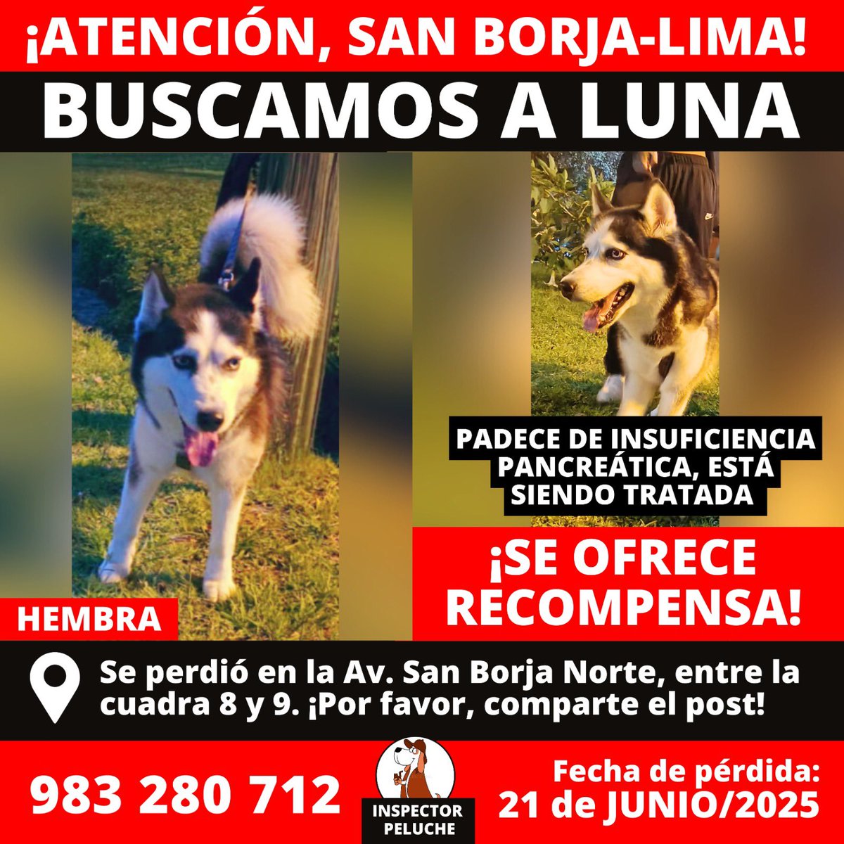 Por favor, ayúdenme difundiendo 🙏🏻🙏🏻🙏🏻