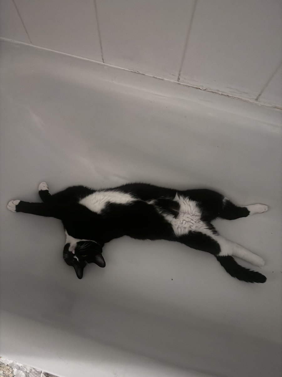 GrantSC2's tweet image. I think he’s broken, I wonder if he’s still in warranty…