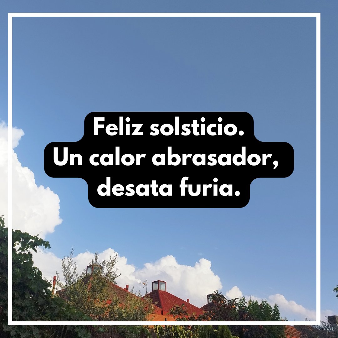 Haiku de domingo de verano ☀️🫠