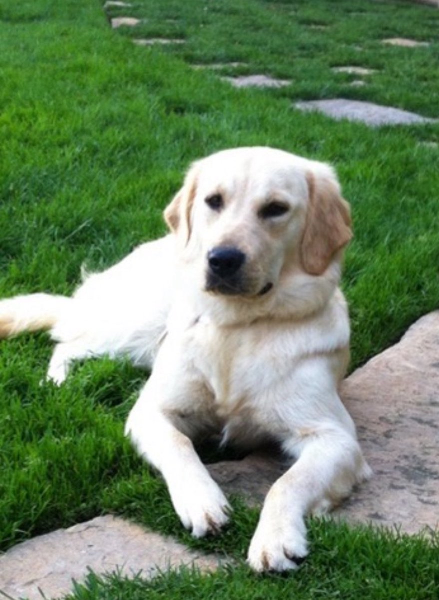 Mohamed A. El-Erian tweet media