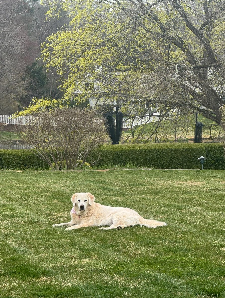 Mohamed A. El-Erian tweet media