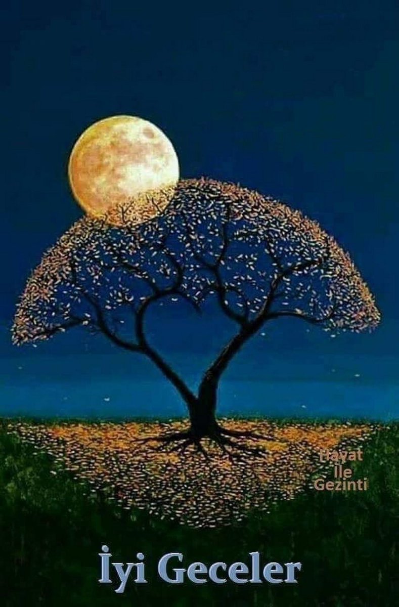Umut dolu bir sabaha uyanmak dileğiyle 🙏 #iyigeceler