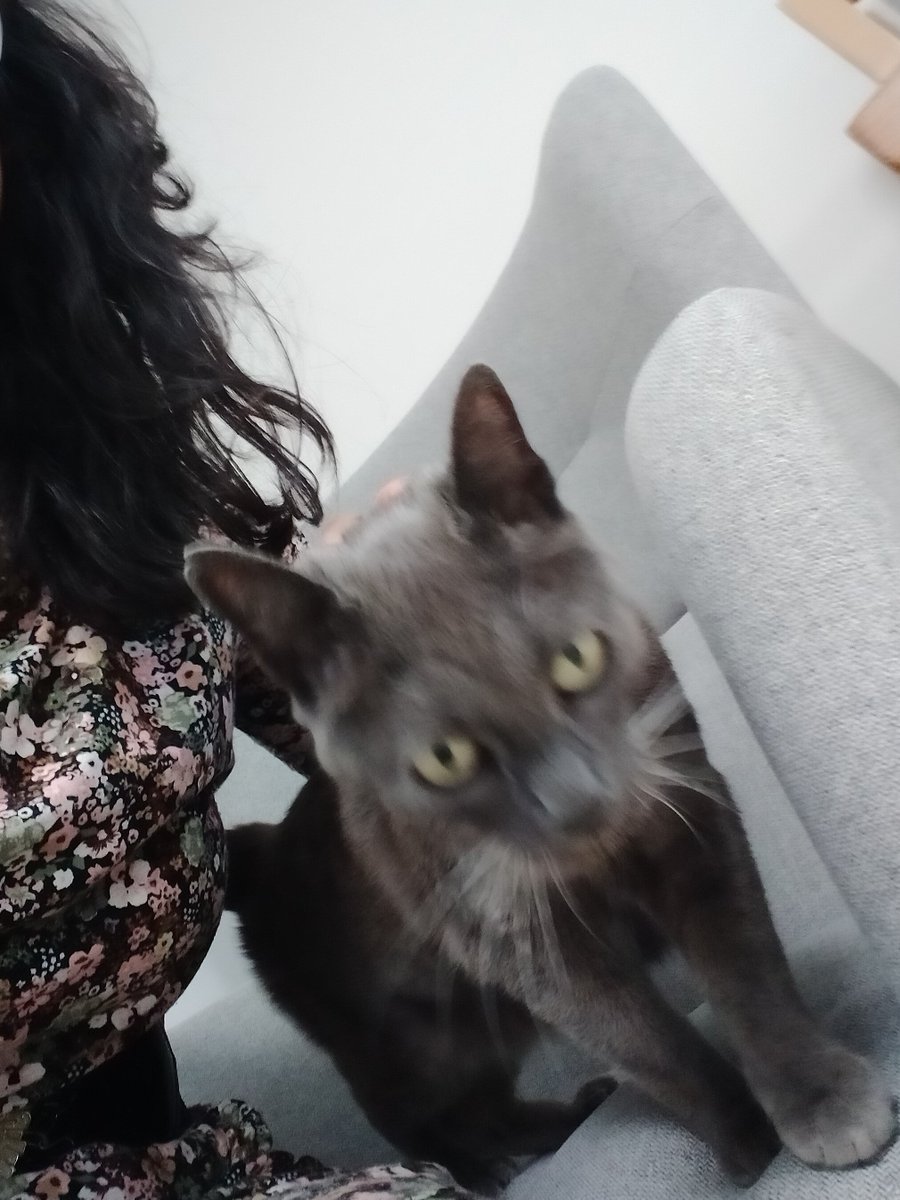 Arifa (@arifa_akbar) on Twitter photo My dad's nursing home has a new resident: Fifi. She is Ash Court's new communal pet and we're all obsessed with her. Thanks <a href="/ForestHealthLtd/">Forest Healthcare</a> & @Jeebun 1/3 My dad's nursing home has a new resident: Fifi. She is Ash Court's new communal pet and we're all obsessed with her. Thanks <a href="/ForestHealthLtd/">Forest Healthcare</a> & @Jeebun 1/3