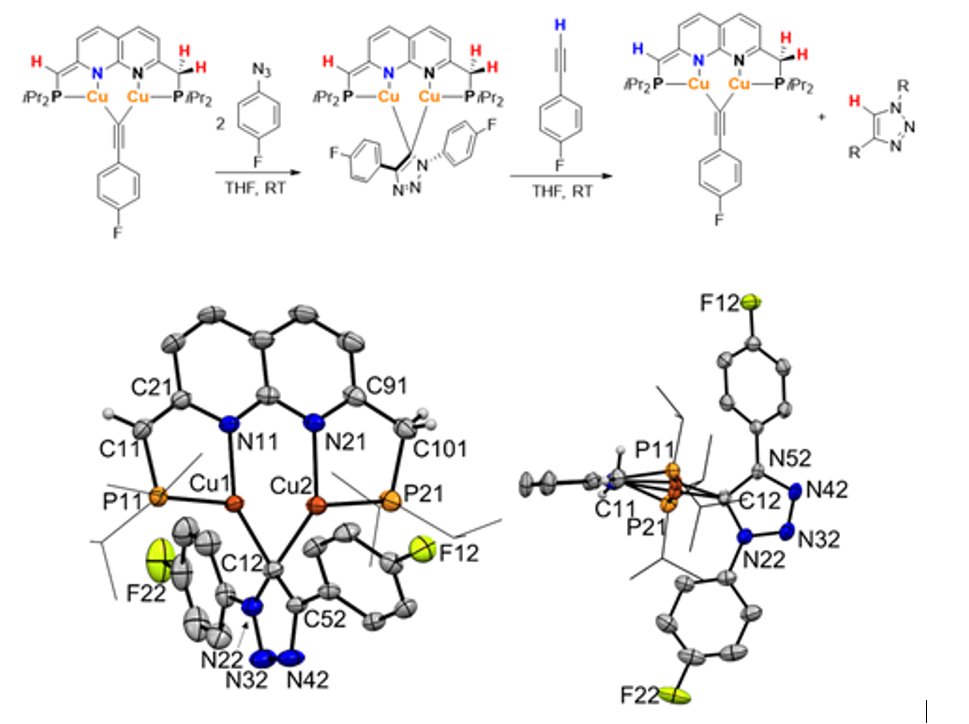 Six years in the making, but now <a href="/ChemRxiv/">ChemRxiv</a>: Combined Metal-Metal and Metal-Ligand Cooperativity in Dicopper Catalyzed Azide-Alkyne Cycloaddition Reactions - The latest (but not last) by Dr. Cody and a great collab with <a href="/baikkaist/">Baik Group</a> 
doi.org/10.26434/chemr…