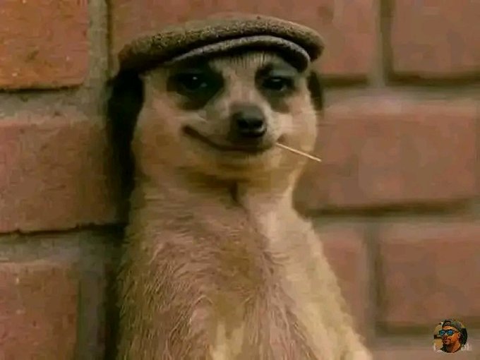 Chapati guy seeing u enjoy beans he cooked two days back