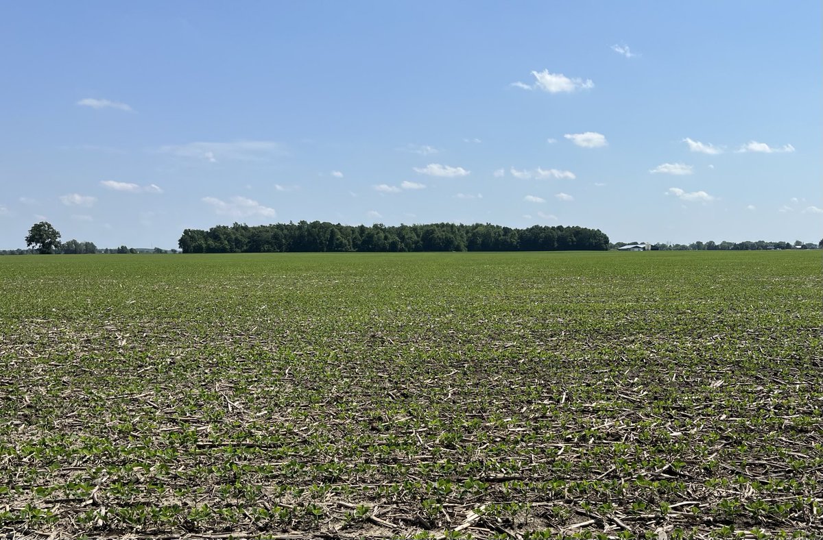 jim saul 🇨🇦🌽🐓 tweet media