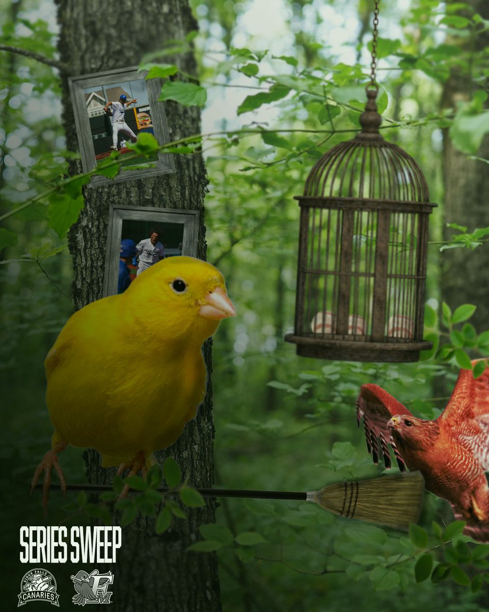 Sioux Falls Canaries (@canaries) on Twitter photo Bring out the brooms 🧹🧹🧹
#GoBirds Bring out the brooms 🧹🧹🧹
#GoBirds