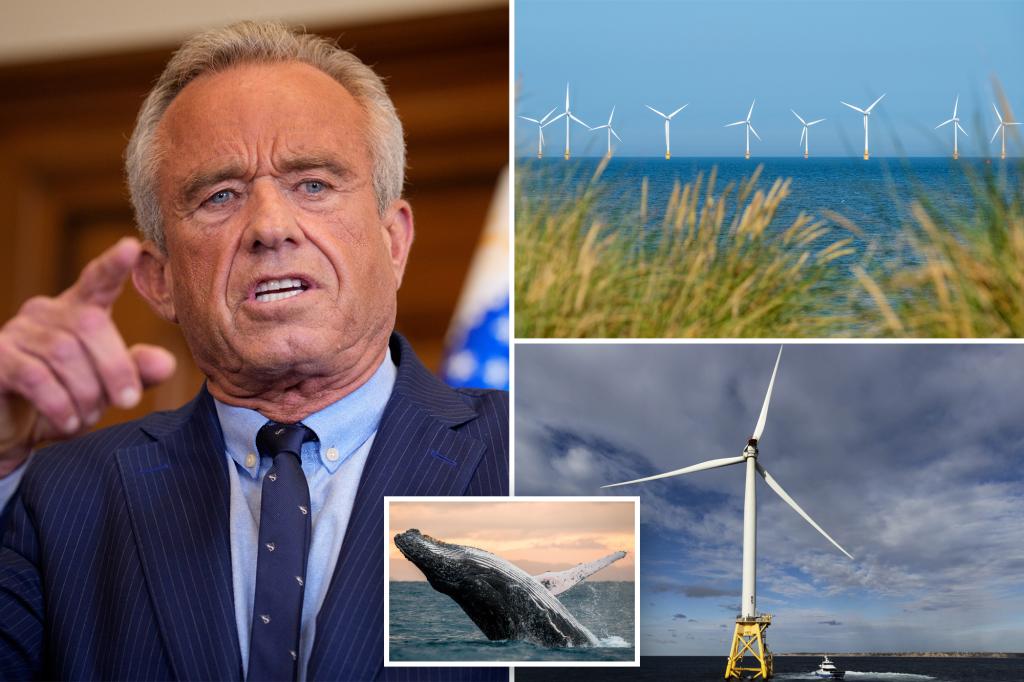 New York Post (@nypost) on Twitter photo RFK Jr. blasts offshore windmill farms for harming marine life as he tries to save whales and ostriches: ‘Make no economic sense’ trib.al/G1d9XsE RFK Jr. blasts offshore windmill farms for harming marine life as he tries to save whales and ostriches: ‘Make no economic sense’ trib.al/G1d9XsE