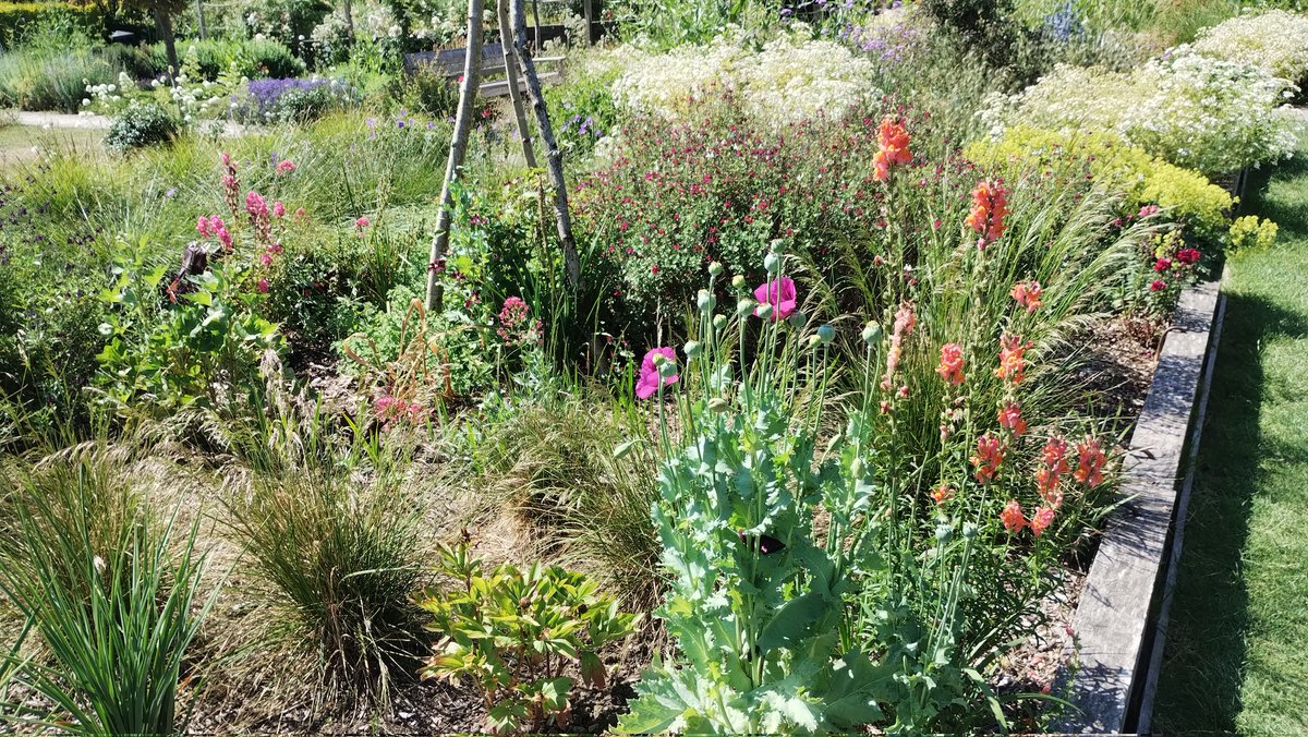 Beckenham Place Park planting is what we need to see in Bell Green. #guerrillagardening #bellgreen #se26