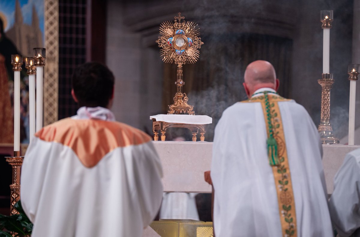 DetArchbishop's tweet image. As we walk with Christ in today's processions, we recognize that Corpus Christi is not just a celebration, but a proclamation: “I am the living bread…whoever eats this bread will live forever.” (Jn 6:51) May Christ in the Eucharist strengthen your faith and grant you peace.