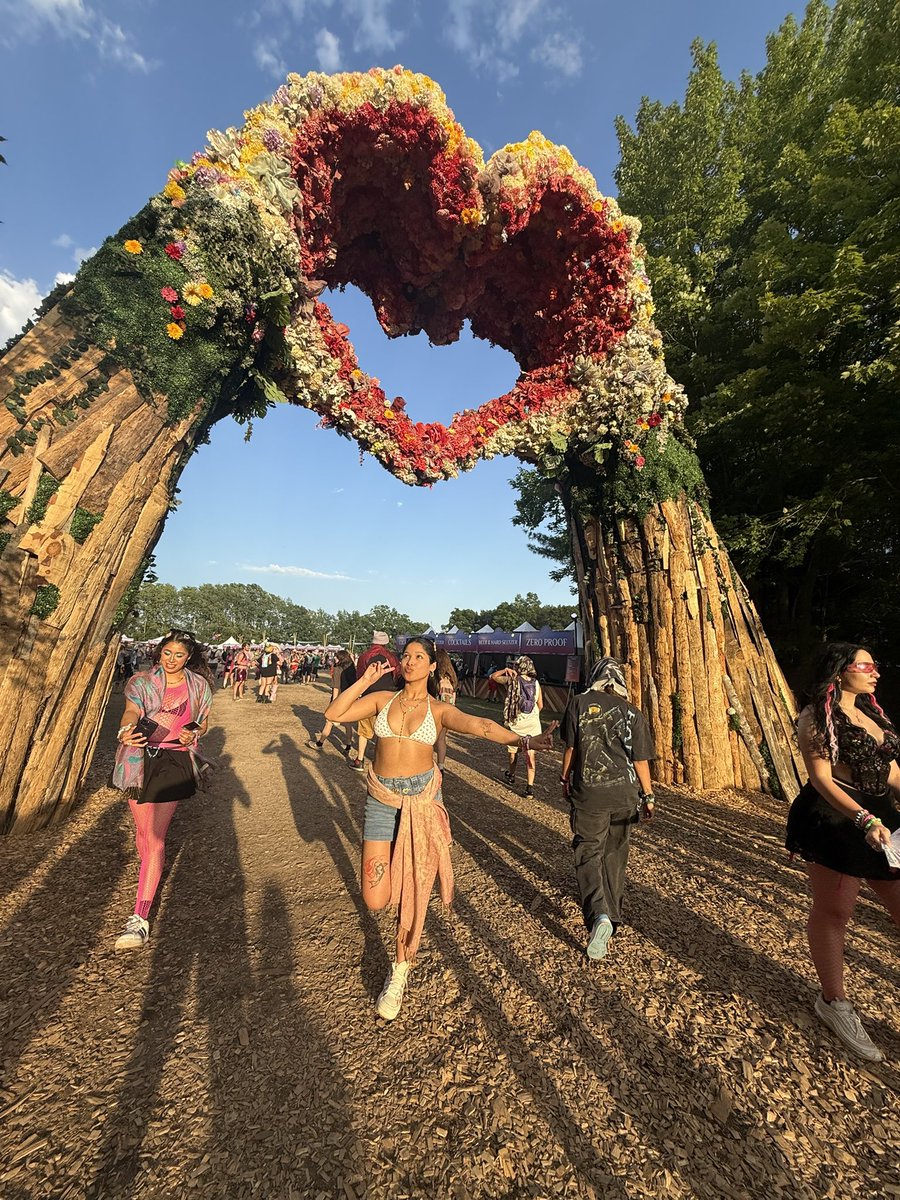 kare1ynv's tweet photo. ⚡️ strolling through the forest https://t.co/ZzfxkJ5WvN