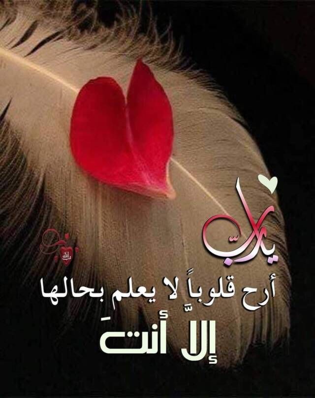 اعبُر خفيفا
لا تثقل أحدا
ولا تخيّب ظنًا حسنا بك
ولا تكسر نَفسًا
كُن يَدًا بنّاءة لا معولًا للهدم
وروحًا تحضر دومًا بكل خير
واعلم أنَّ هذه الحَياة وإن طالَت وتجمّلَت
فهي ماضية إلى الزوال
وكُل مَن فيها عابرون
وخيرُ ما يتركهُ الإنسان من بعده أثَر طيِّب.