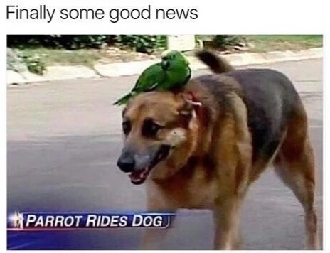 McNyale (@mcnyale) on Twitter photo 