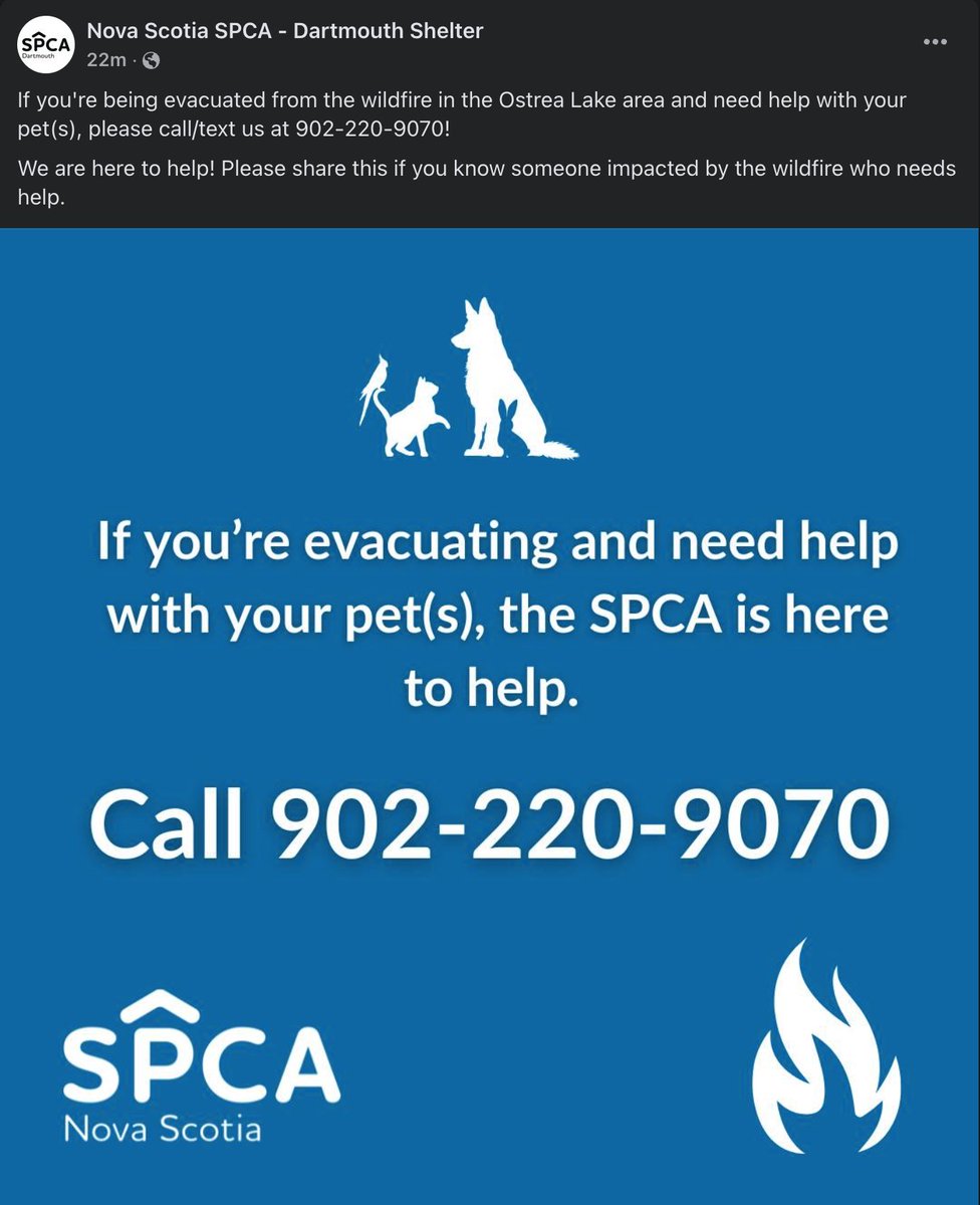 mattdagley's tweet photo. Nova Scotia SPCA:
"If you're being evacuated from the wildfire in the Ostrea Lake area and need help with your pet(s), please call/text us at 902-220-9070!
We are here to help! Please share this if you know someone impacted by the wildfire who needs help." https://t.co/kX9YgfC22y