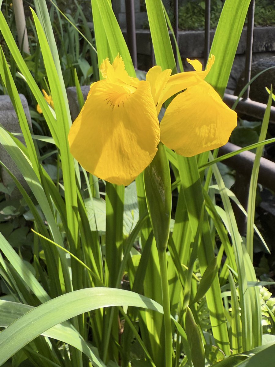 おはようございます🌱🍃🐸❁⃘*. 𓂃✩.*˚

6月23日月曜日☔️

西日本から東北は梅雨空
西日本や東海
北陸は局地的に強雨
おそれがあり注意を
関東は南部を中心に晴れ
北海道は前線が離れ
天気が回復🐈‍⬛🐾

熱中症など
体調に気を付けて下さい🌱

今週も宜しくお願いします🌸

素敵な一日を☘️ *. 𓂃✩.*˚