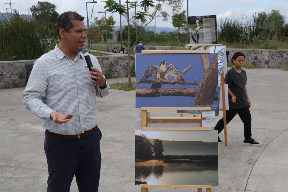 CUSur_UdeG's tweet photo. #ComunidadAbierta 🦁🖤
📸 En el marco de esta celebración, se inauguró la exposición fotográfica colectiva del Club de Observadores de Aves de Ciudad Guzmán.
Imágenes que capturan la belleza y biodiversidad de este tesoro natural.
#FotografíaDeNaturaleza #CUSur #20Años
2/2 https://t.co/i4whS66un1
