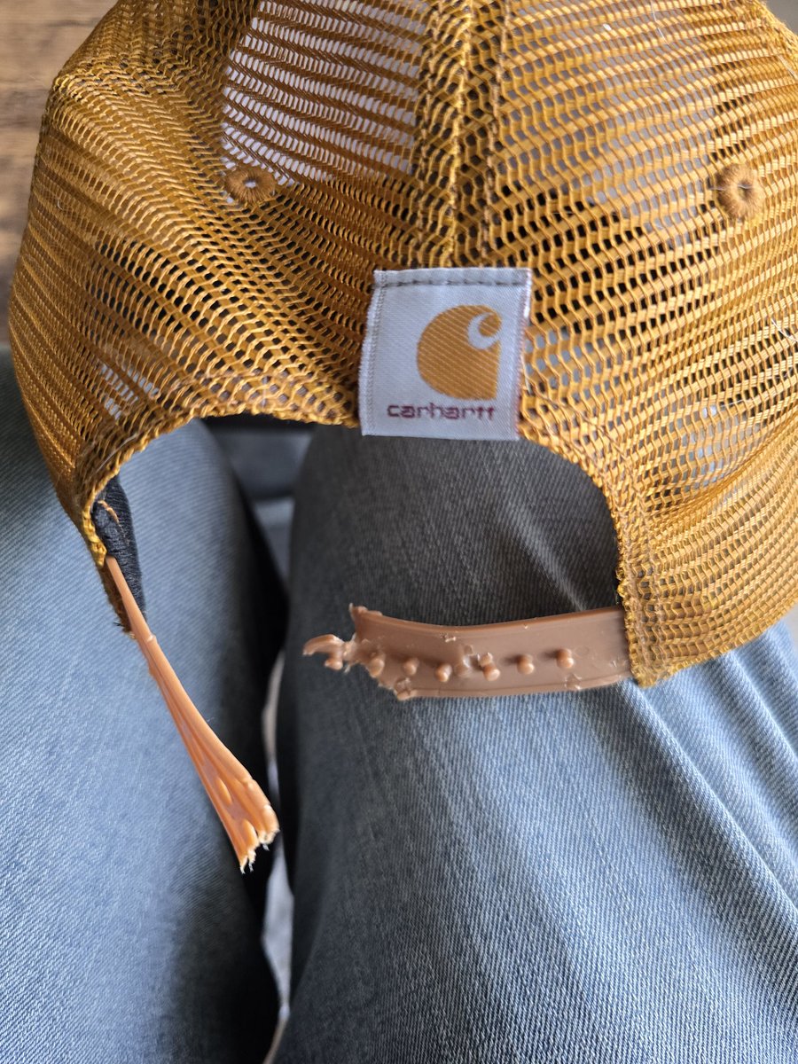 Neflite's tweet photo. When your Doggo eats your favourite @Carhartt hat and tries to make up for it with cuddies.

#DogLife #Carhartt #Luffy https://t.co/0TIwGEgsyJ
