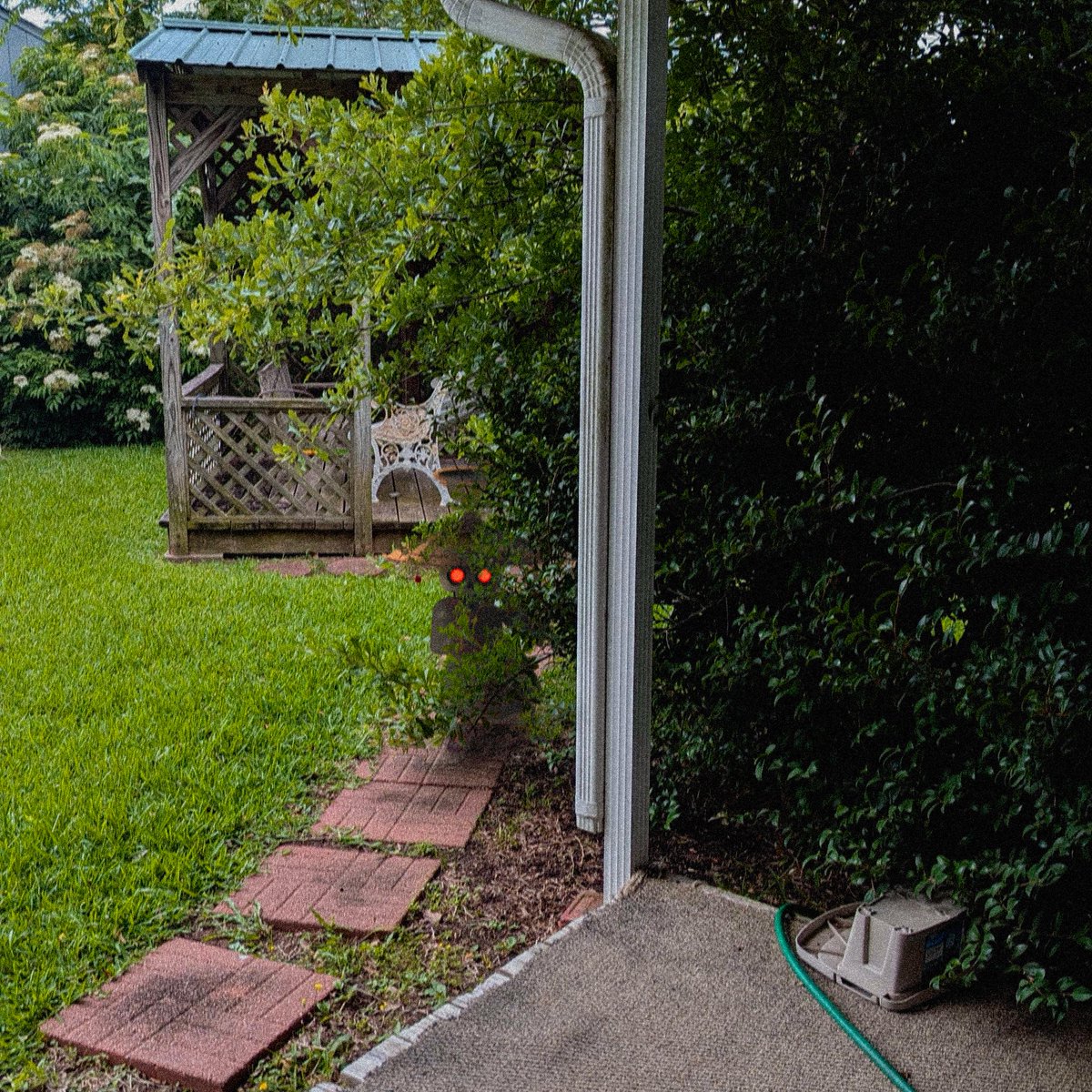 You see this in your backyard. What do you do?