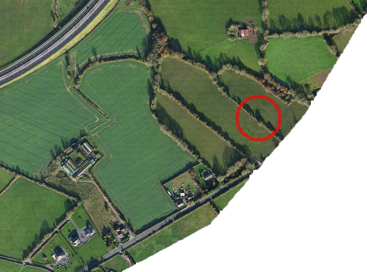 TimeFinding's tweet photo. The LIDAR scans on ARCGIS are interesting. Quite a few ráthanna clearly visible on there that aren't documented on any OSI surveys or the HEV. Makes you wonder how many are lost to time. https://t.co/504doT6cmO