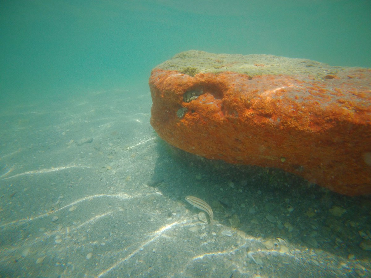 ☀️It was just one of those days.🌴